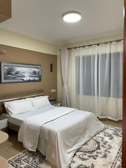 Enzi Heights Furnished In Nairobi