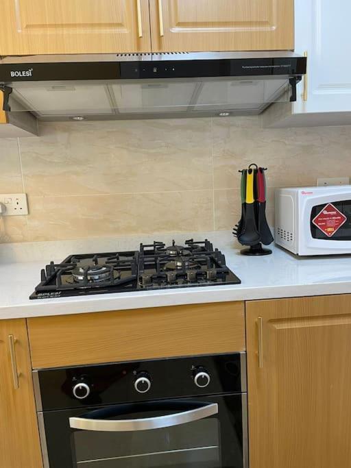 Enzi Heights Furnished In Apartment Nairobi